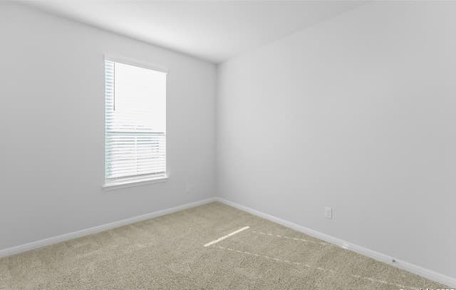 13223 Prospector Way — photo 5