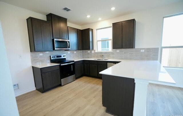 7746 Canyon Wren — photo 5