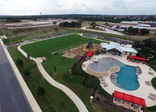 15315 Olive Pigeon — photo 2