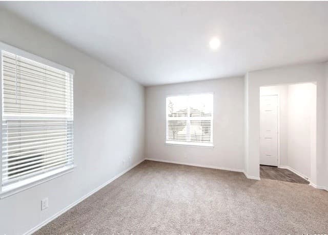 15315 Olive Pigeon — photo 3