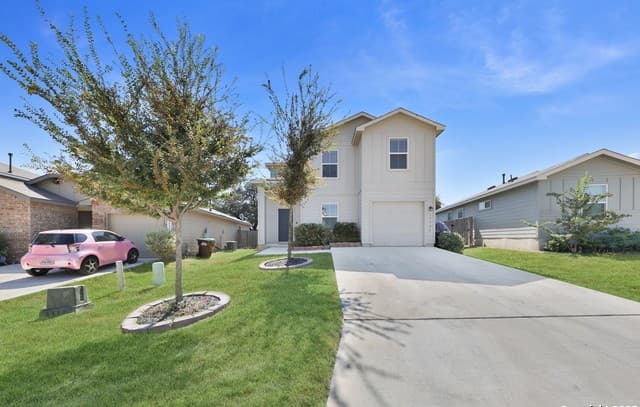 15326 Brown Violetear — photo 2