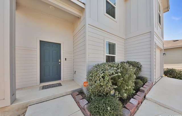 15326 Brown Violetear — photo 3