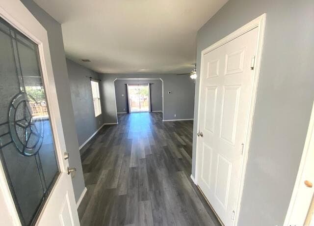 302 Coriander — photo 4