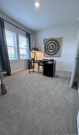 9815 Spotted Rose — photo 3