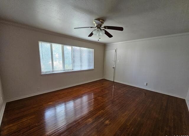 217 Lullwood Unit 3 — photo 4