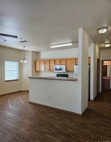 1000 Diamond Unit 1301 — photo 5