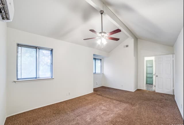 5123 Timber Trace — photo 5