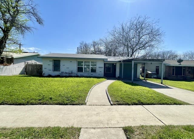 338 Addax — photo 1