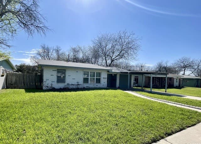 338 Addax — photo 2