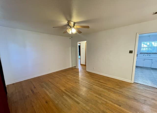 338 Addax — photo 5