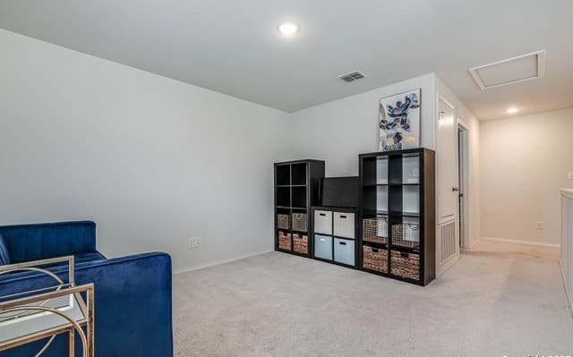 519 Wild Olive — photo 5