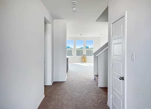 14838 House Wren Fall — photo 4