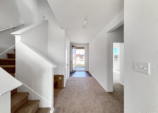 14838 House Wren Fall — photo 5