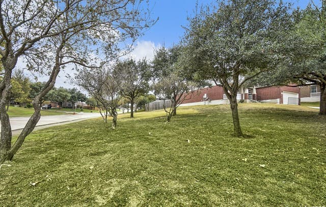 13904 Bressani — photo 4