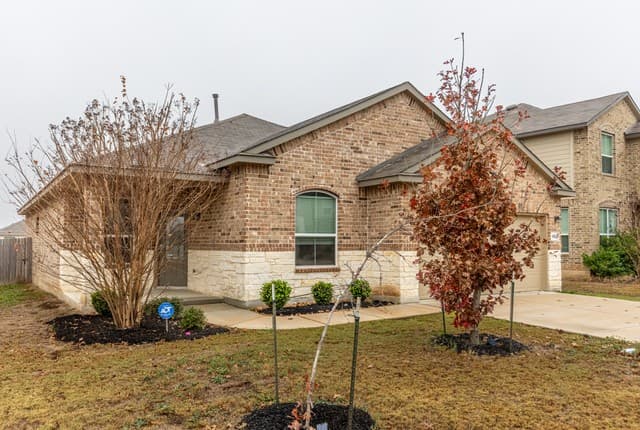 9543 Bicknell Sedge — photo 2