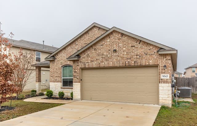 9543 Bicknell Sedge — photo 3