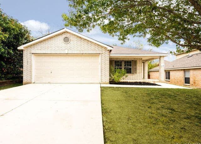 156 Texas Mulberry — photo 3