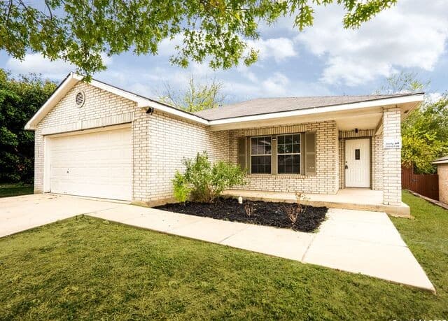 156 Texas Mulberry — photo 4