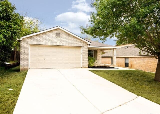 156 Texas Mulberry — photo 5