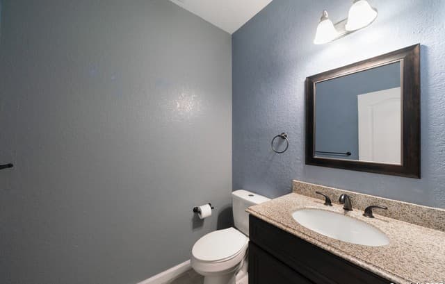 9131 Canter Horse — photo 3