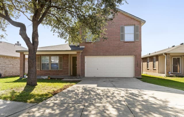 12628 Mexican Plum — photo 1