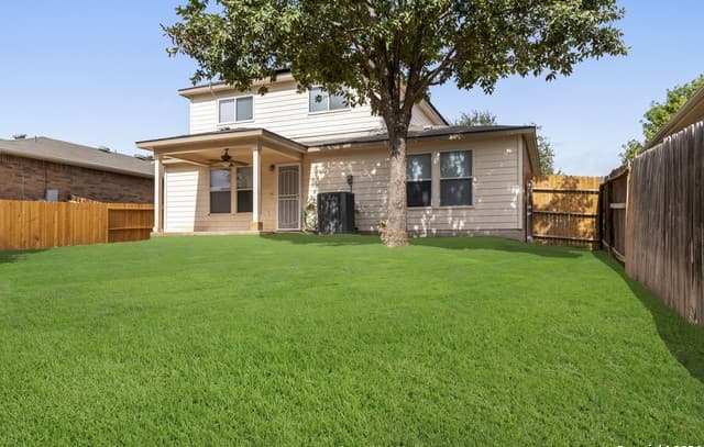 12628 Mexican Plum — photo 4