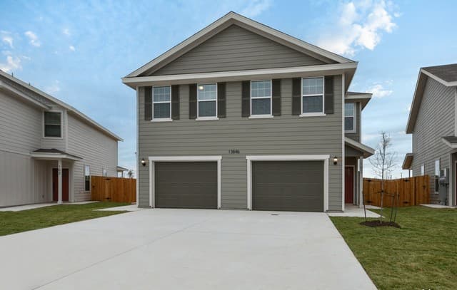 12239 Painted Daisy — photo 1