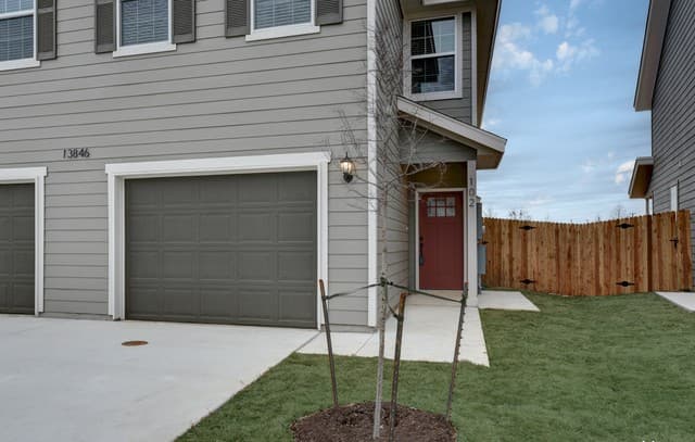 12239 Painted Daisy — photo 2