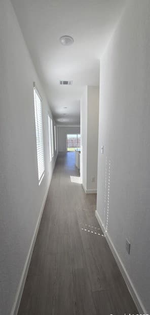 11730 Carolina Rose — photo 5