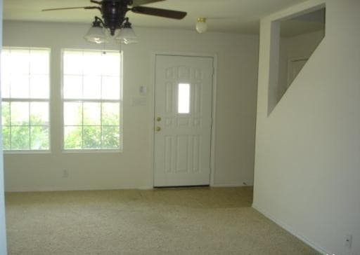 318 Mallow Grove — photo 3