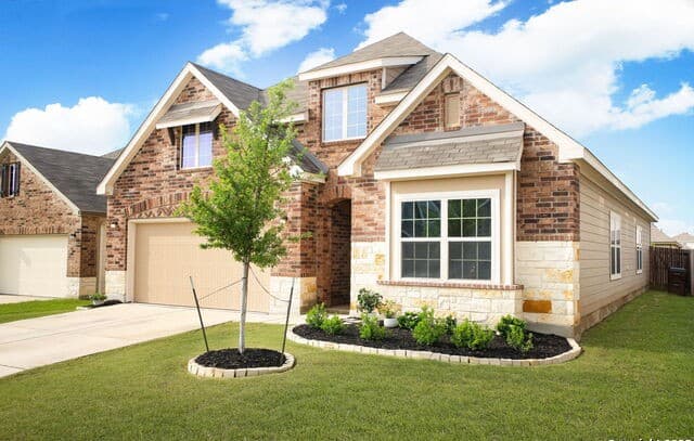 14416 Gecko — photo 3