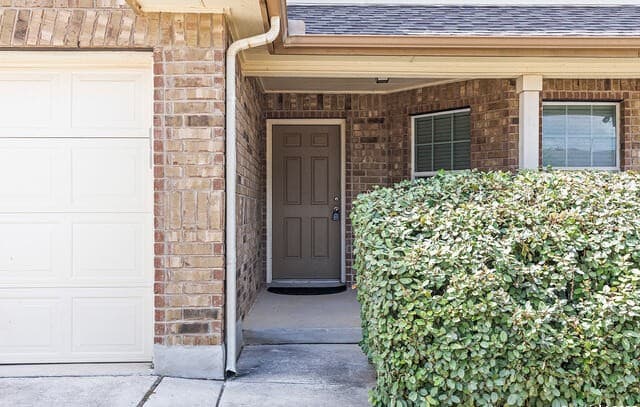 9815 Selestat — photo 4