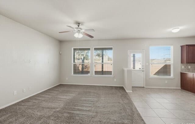 11647 Zinnia — photo 4