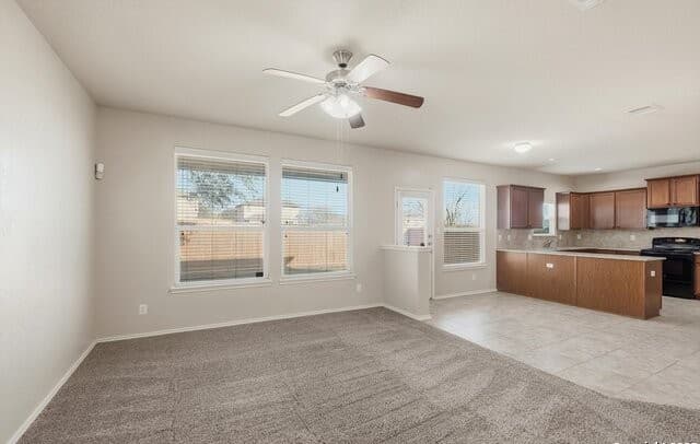 11647 Zinnia — photo 5