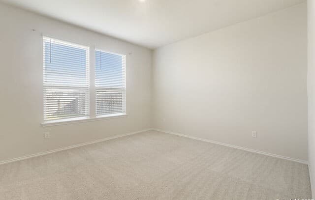 10243 Band Wagon — photo 5