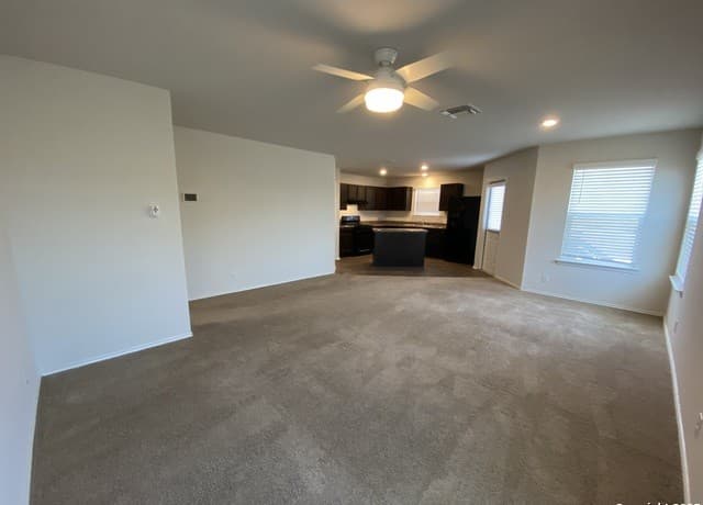 122 Moscovy Duck — photo 3