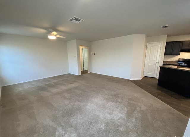 122 Moscovy Duck — photo 4