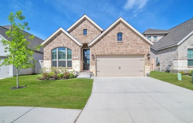 14182 Blind Bandit — photo 3