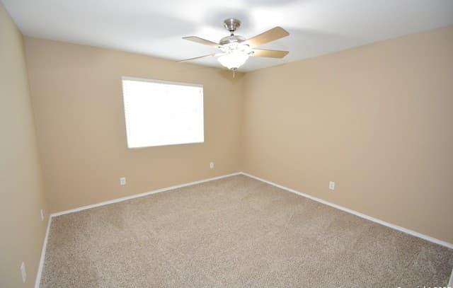 241 Stampede — photo 5