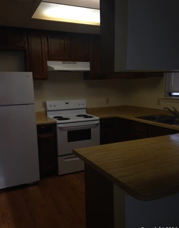 7228 Rimwood St — photo 4