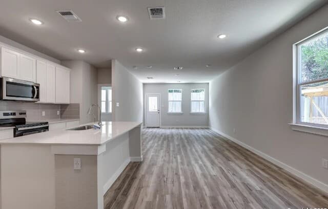 10523 Rosemont Pass — photo 2