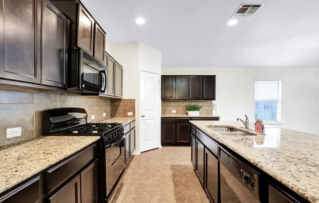 446 Eastern Phoebe — photo 5