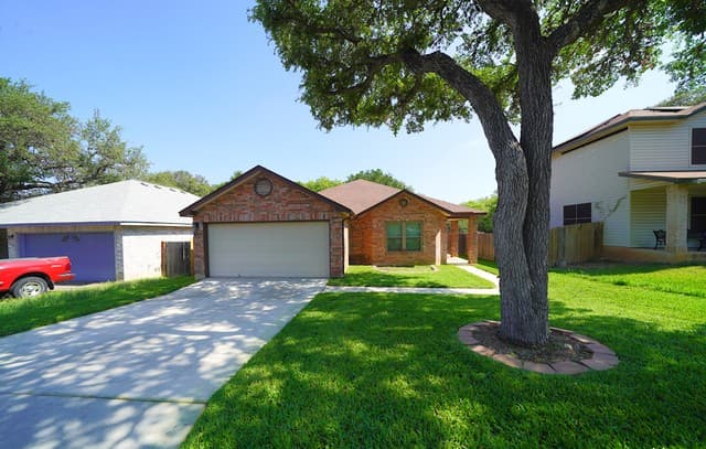 6883 Crested Quail — photo 2