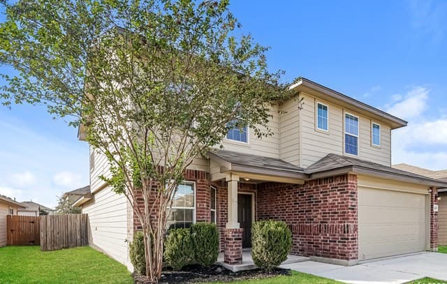 419 Eastern Phoebe — photo 2