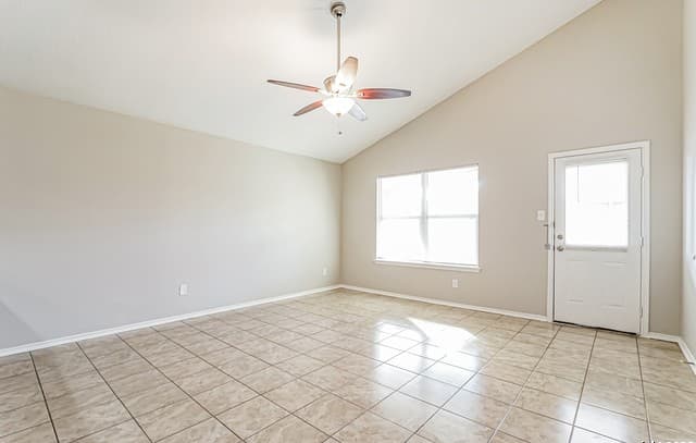 419 Eastern Phoebe — photo 3