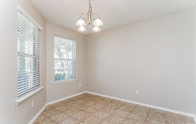 419 Eastern Phoebe — photo 5