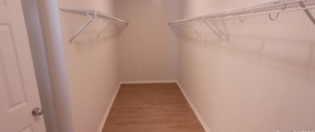 267 Palma Noce — photo 4