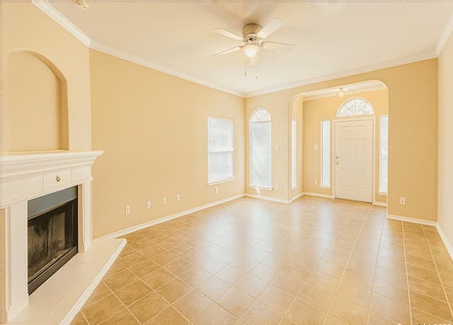 11034 Arabian Palm — photo 3