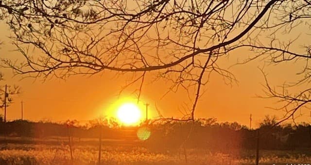 210 County Road 4643 — photo 3