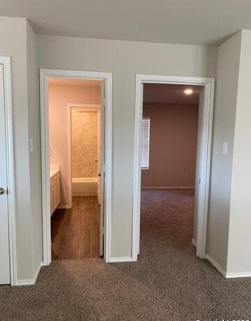 153 Antelope — photo 4